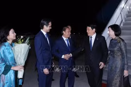 越南驻美国大使阮国勇和越南常驻联合国代表团团长杜雄越大使来到机场迎接国家主席梁强和夫人。图自 越通社