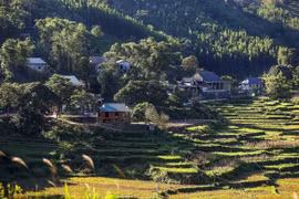 云山乡宁静的芒族村落正成为吸引众多游客的目的地。图自越通社