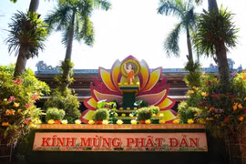 顺化古都缤纷多彩，喜迎佛诞大典。图为设在妙谛国寺的浴佛礼台。图片来源：越通社