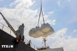 进入2026年，越南计划将大米出口量控制在约700万吨。图片来源：越通社