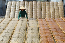 2025年6月底，当地隆重公布了将安义米纸制作业列入国家级非物质文化遗产名录的决定。