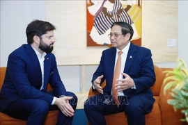 越南政府总理范明政会见智利总统加夫列尔·博里奇·丰特。图自越通社