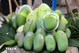 越南芒果走向世界：打造品牌 拓展价值链