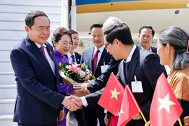 越南驻瑞士大使馆工作人员和旅瑞越南人来到机场迎接陈青敏一行。图自越通社