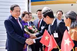 越南驻瑞士大使馆工作人员和旅瑞越南人来到机场迎接陈青敏一行。图自越通社