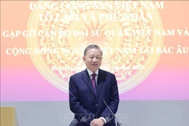 苏林总书记在见面会上发表讲话。图自越通社