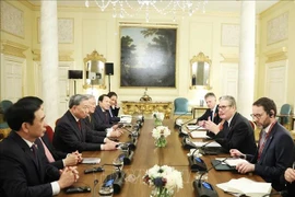 苏林总书记与英国首相基尔·斯塔默举行会谈。图自越通社