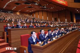 各位代表进行表决。图自越通社