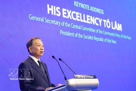 越共中央总书记、国家主席苏林回答了来自新加坡东南亚研究所代表关于越南推进机构精简改革将对外交政策产生何种影响的提问。图片来源：越通社