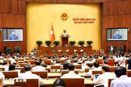 5月24日，听取关于《服刑人员移交法》草案、《引渡法》草案的呈文和审查报告。图自越通社