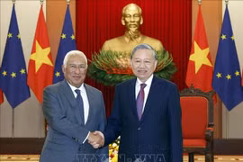 越共中央总书记苏林与欧洲理事会主席安东尼奥·科斯塔握手。图片来源：越通社