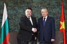 越共中央总书记苏林在首都索非亚会见保加利亚社会党主席阿塔纳斯·扎菲罗夫。图自越通社