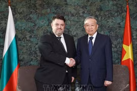 越共中央总书记苏林在首都索非亚会见保加利亚社会党主席阿塔纳斯·扎菲罗夫。图自越通社