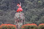 四季花开的宁平省——令人沉醉的自然风光