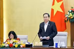 国会主席陈青敏：依法按时公布选举结果，最迟不得晚于3月25日