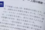 日本《外交蓝皮书2025》：越南是充满潜力的市场