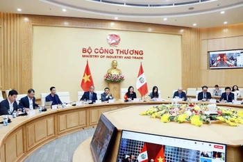 越南工贸部副部长潘氏胜与秘鲁外交部副部长Félix Denegri Boza 27日在河内共同主持越南-秘鲁政府间联合委员会第三次全体会议。图自工贸部