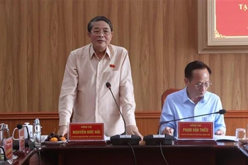 越南国会副主席、国家选举委员会委员阮德海在工作会议上发言。图自越通社