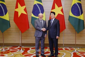 越南国家主席梁强与巴西总统路易斯·伊纳西奥·卢拉·达席尔瓦。图自越通社