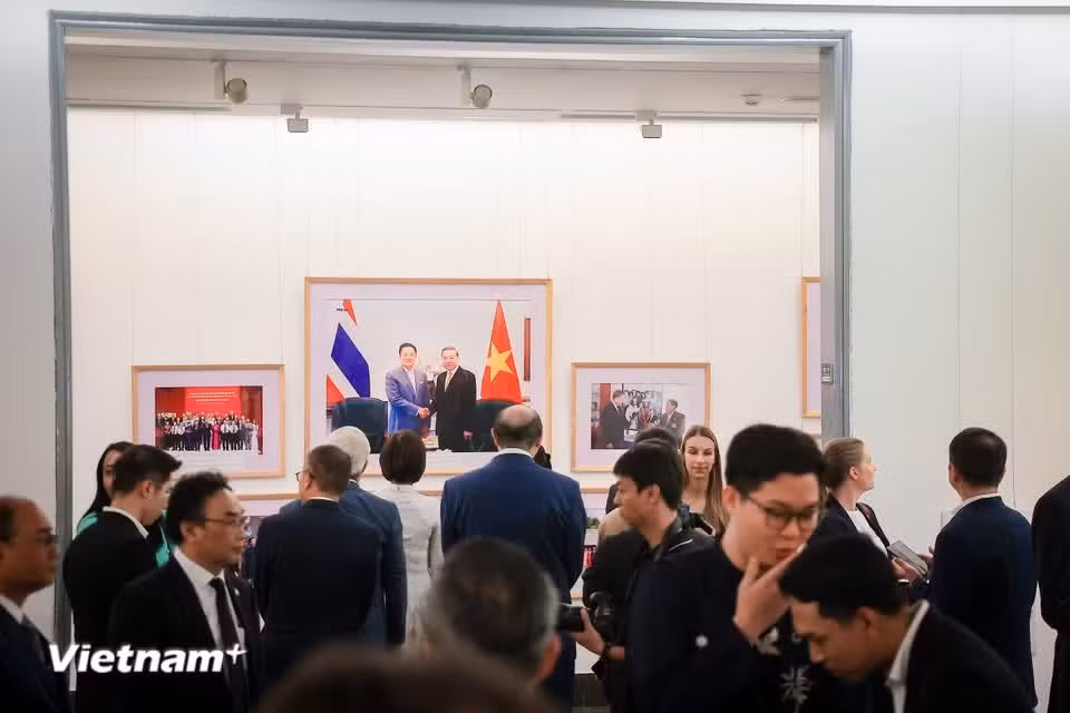 展览免费向公众开放，时间为2026年7月24日至30日，每日8时30分至17时（周一闭馆），地点为河内越南美术博物馆。图自Vietnam+