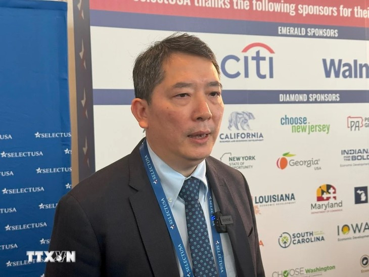 越南财政部副部长高英俊。图自越通社