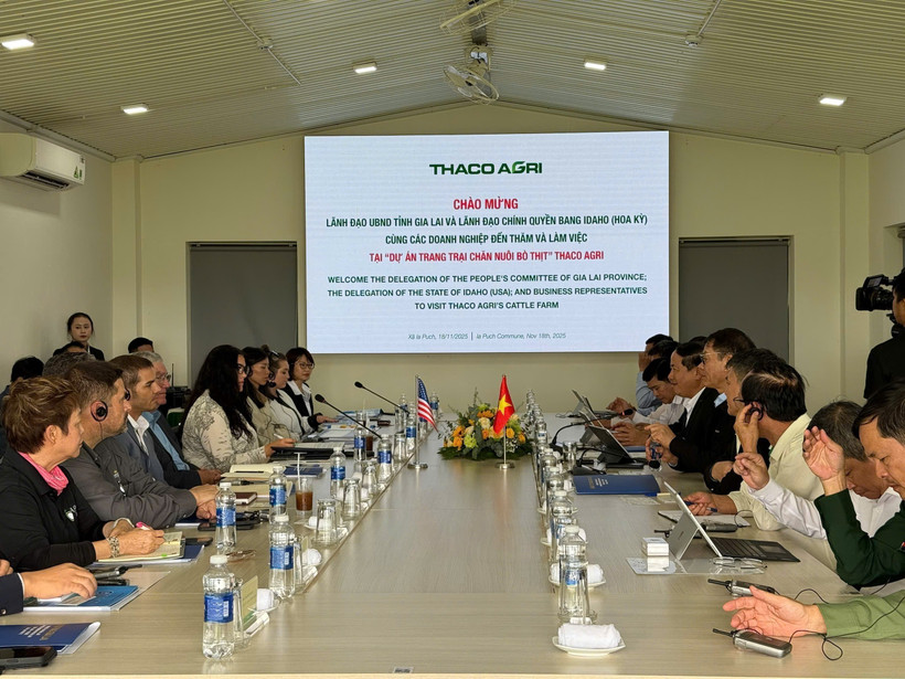 双方举行会晤。图自越通社