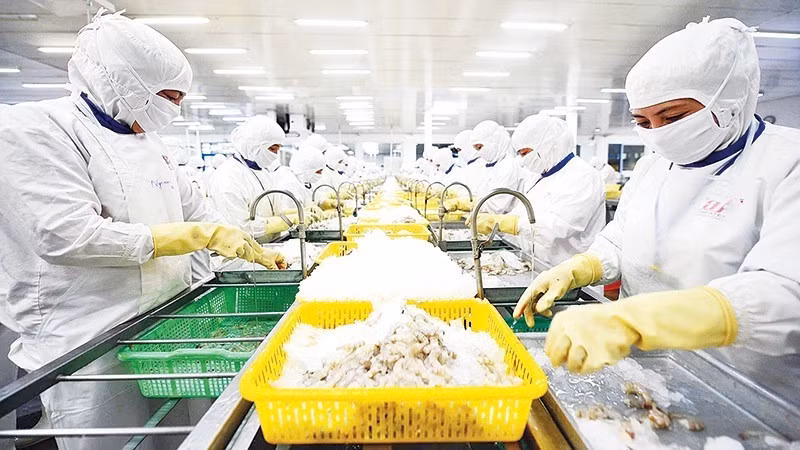 多家水产生产企业开始应用区块链技术来证明产品的原产地及其环保生产流程。图自人民报