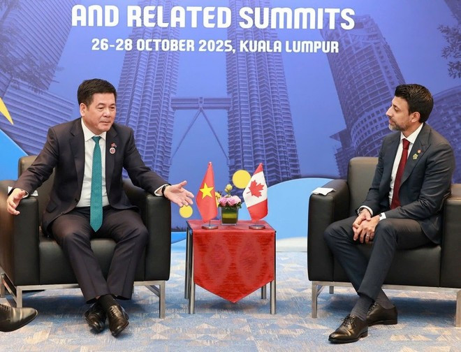 越南工贸部长阮鸿延与加拿大国际贸易部长曼尼德·西杜举行了双边会晤。图自越通社