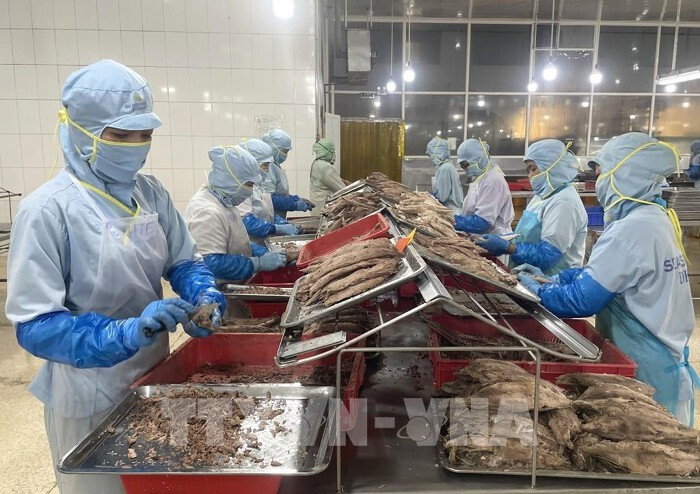 附图。图自越通社