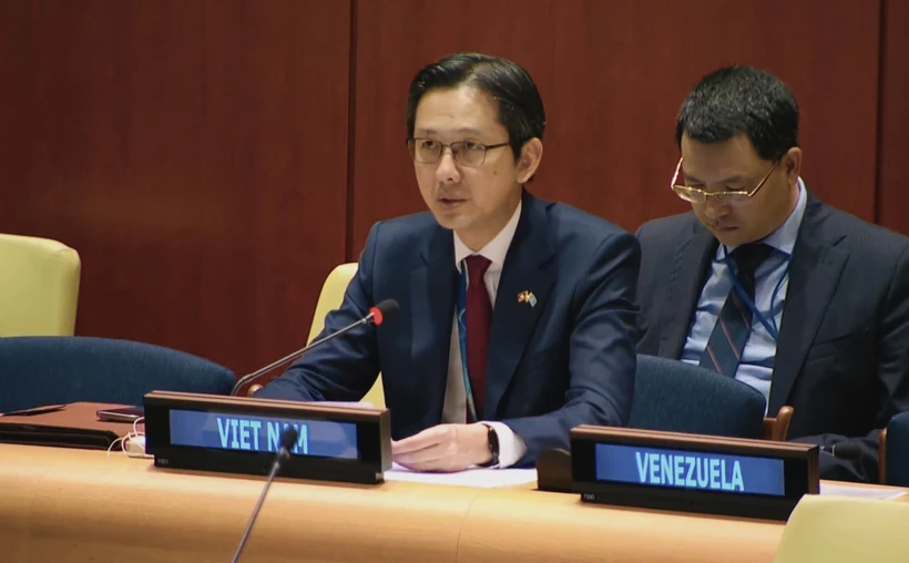 越南常驻联合国代表团团长杜雄越发表讲话。图自越通社