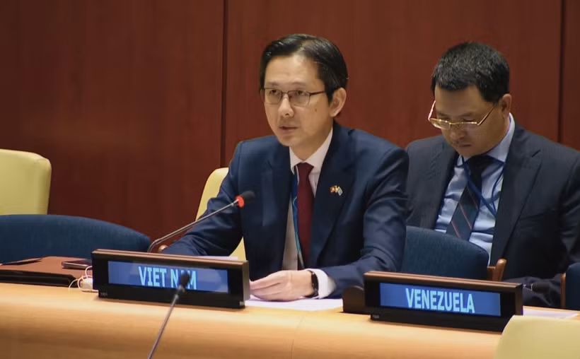 越南常驻联合国代表团团长杜雄越发表讲话。图自越通社