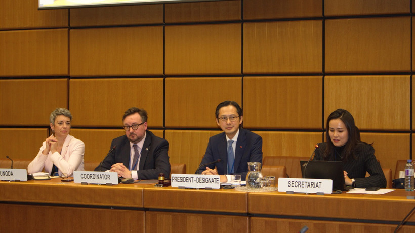 越南常驻联合国代表团团长杜雄越大使主持磋商活动。图自越通社