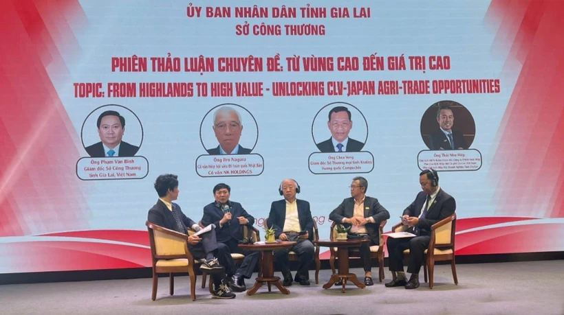 会议期间的专题讨论会。图自越通社