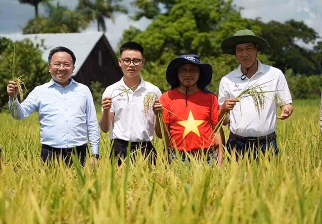 纪录片《幸福的种子》记录了越南向古巴转让特种水稻品种（包括CT16稻种）的历程。图自越通社