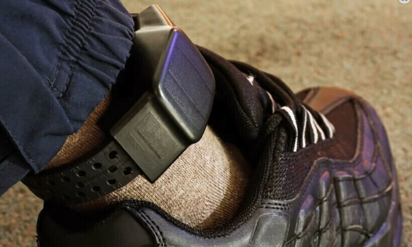 附图。图自越南律师报