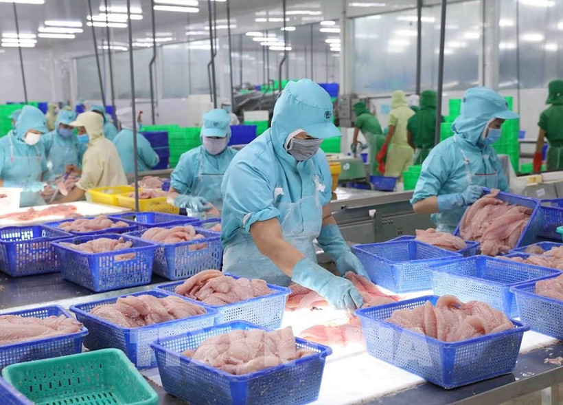 附图。图自越通社