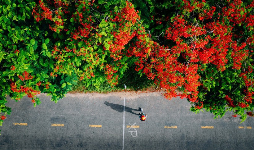 附图。图自Vietnam+
