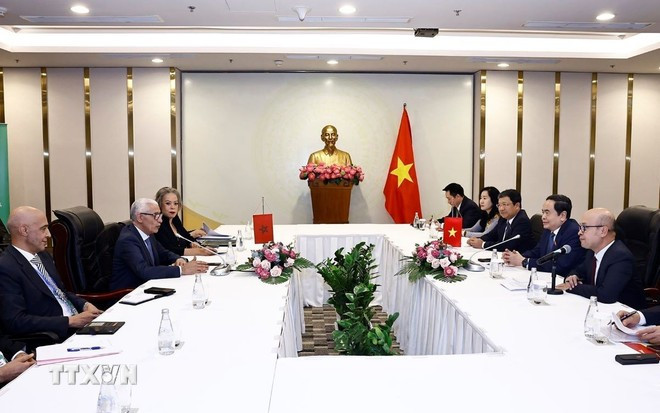 2025年1月，越南国会主席陈青敏会见摩洛哥王国众议院议长拉希德·塔尔比·阿拉米。图自越通社