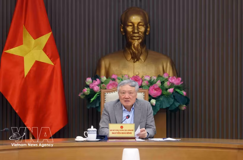 阮和平副总理主持会议。图自越通社