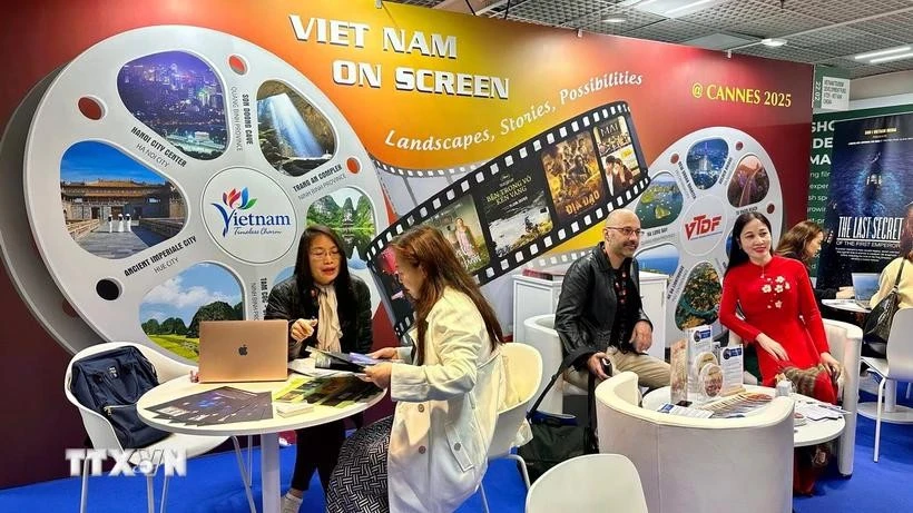 国际代表正在了解越南电影产业。图自越通社