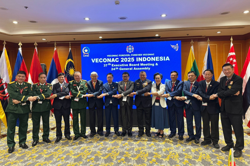 出席会议的越南代表团。图自越通社