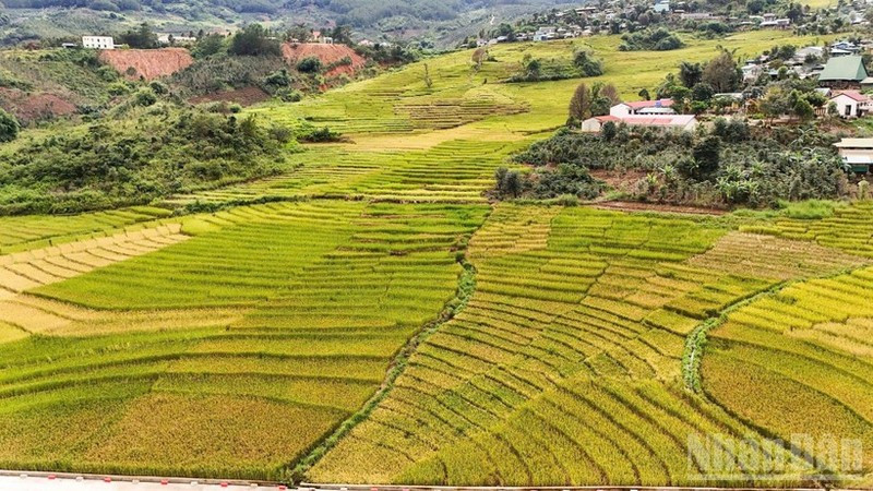 新广义省地域辽阔，从高山、边境到海岛，山海相连，风光壮丽，为将旅游业打造成为新阶段经济增长的重要动力奠定了坚实基础。图自人民报