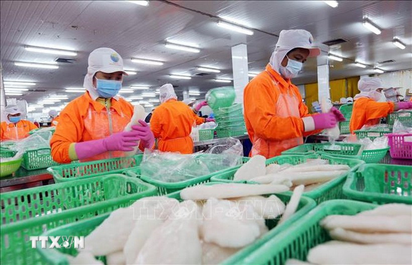附图。图自越通社