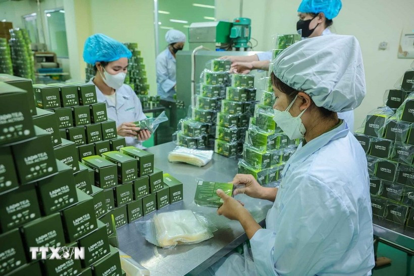 林同省药品公司的药品包装环节。图自越通社