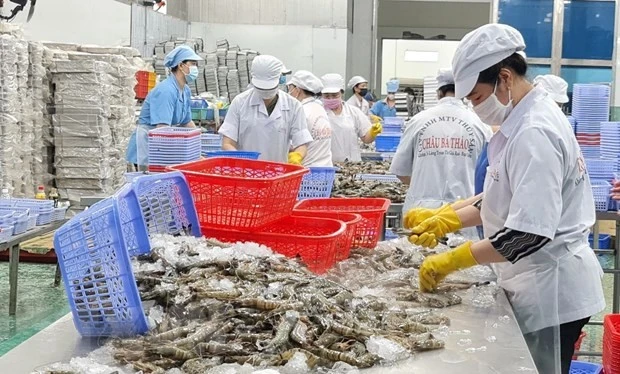 附图。图自越通社