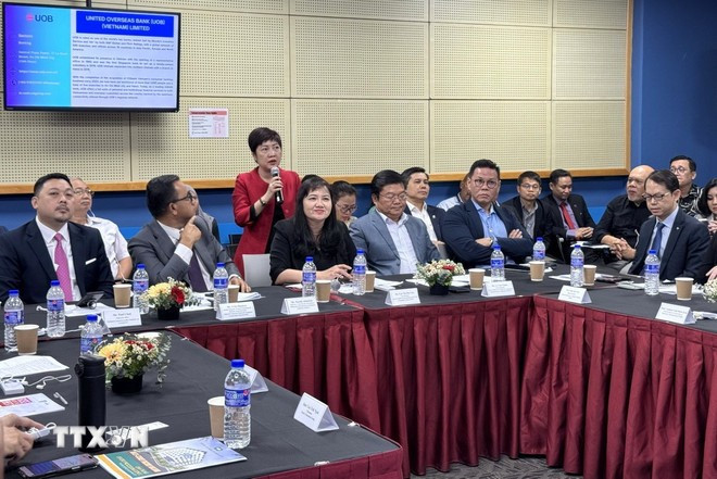 与会代表在会上展开讨论。图自越通社