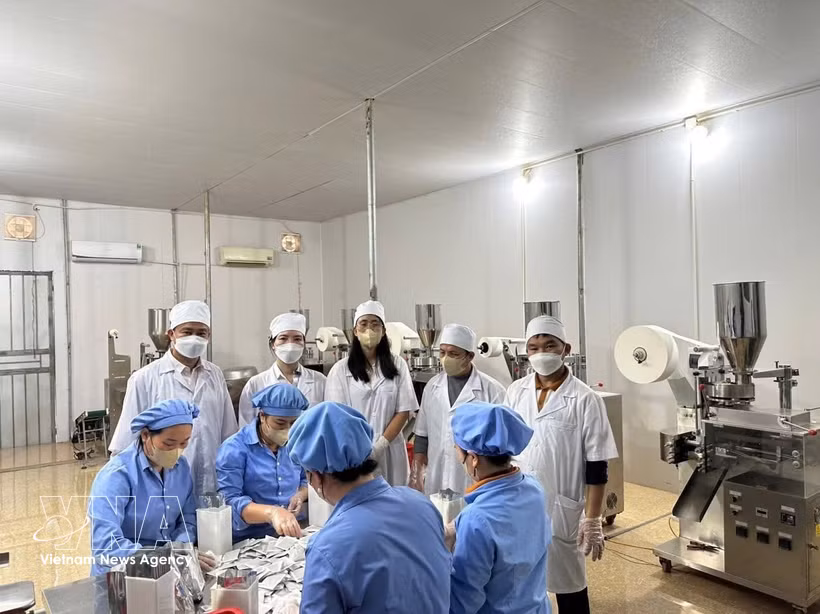 蒲末药料股份公司专家和人员。图自越通社
