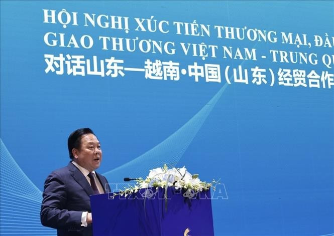 越共中央委员、中央政策与战略委员会副主任、越中友好协会主席阮黄英发表讲话。图自越通社