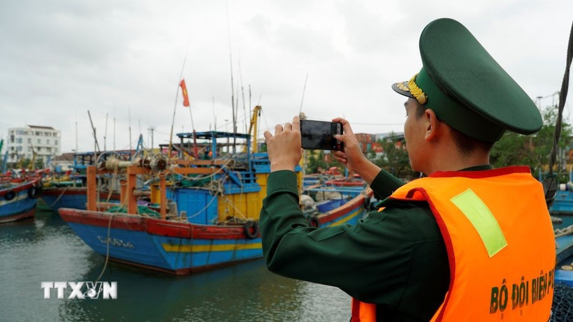 附图。图自越通社