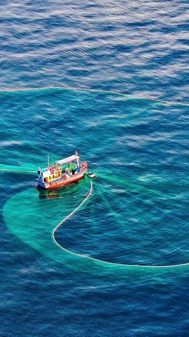 全力解除 IUU“黄牌”：迈向负责任的渔业发展 